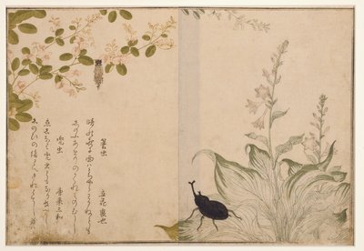 Basket worm and helmet beetle, 1788 by Kitagawa Utamaro